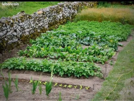 location jardin ( petit prix )