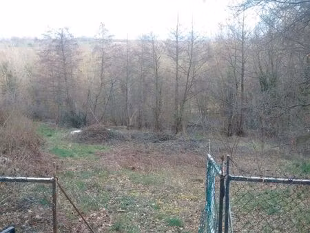 location terrain de loisir bord de loire