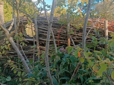 petite maison et jardin