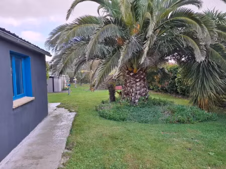 vente maison 6 pièces 80 m² à plozévet (29710)  249 600 €