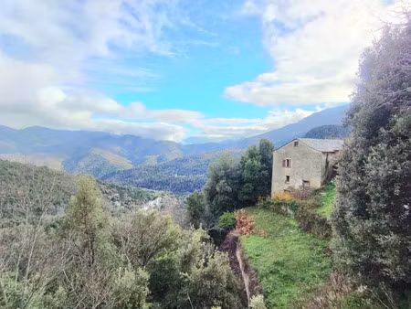 vente maison 7 pièces 120 m² pie-d’orezza (20229)