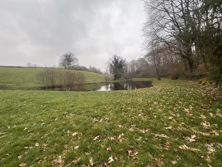 vente terrain 5735 m² saint-priest-la-marche (18370)