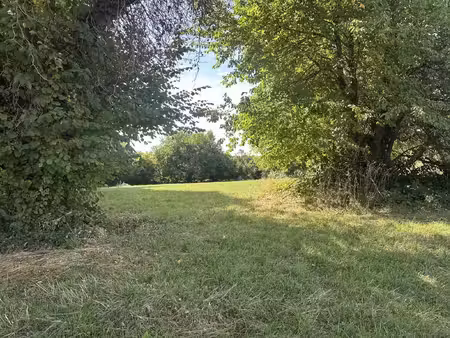 terrain à bâtir !