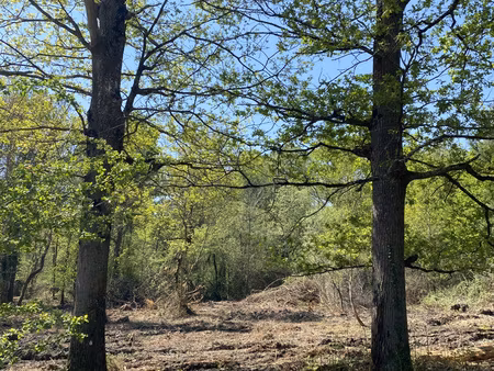 challans - terrain constructible de 2 600 m²