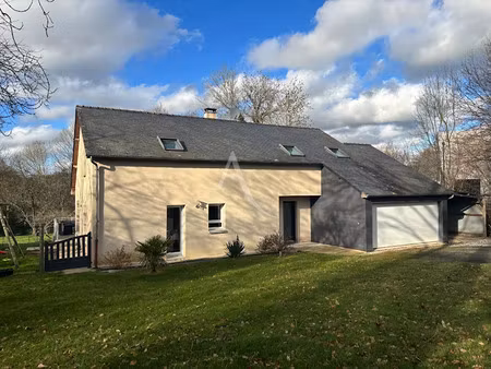 vente maison 8 pièces 170.3 m² à andouille (53240)  299 900 €