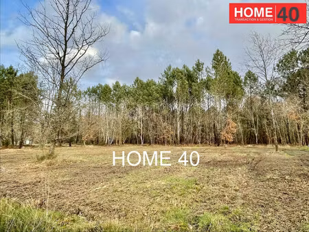 terrain en lisière de forêt proche lac