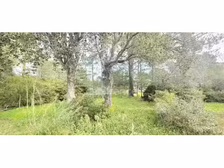 terrain à vendre lecci 1000m2 226 800€