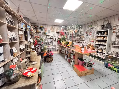 fonds de commerce et murs à vendre nerondes (18)