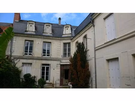 châtellerault (86100)