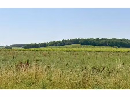 annonce vente terrain terrain de 771m2 à flaugeac (24240) - paruvendu.fr ref 992784691298