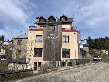 vente maison 17 pièces 458 m² val-d’aigoual (30570)