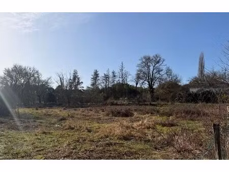 vente terrain 1200 m² noaillan (33730)