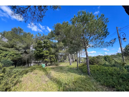 annonce terrain à vendre