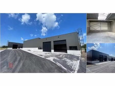 surface industrielle à louer à deinsesteenweg 121 tielt (rbv12867)