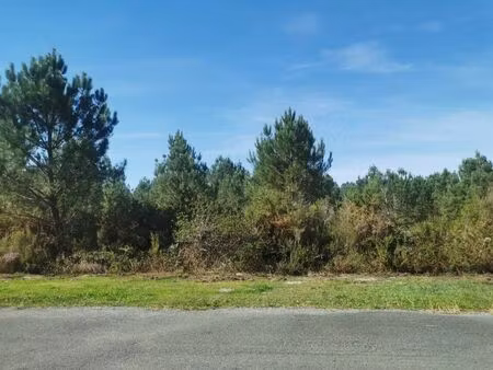 vente terrain 928 m² salaunes (33160)