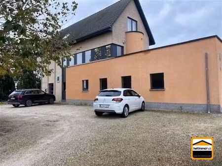 commercieel te koop in tongeren-borgloon met 1 slaapkamer