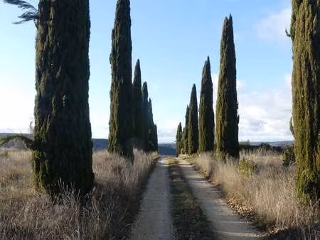 vente terrain à salazac (30760) : à vendre / 27155m² salazac