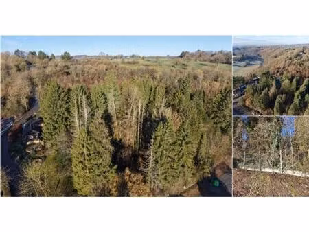 terrain à vendre à tier dè rinze 31 durbuy (vbd80144)