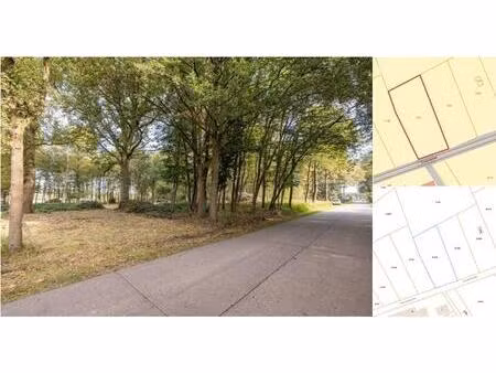 terrain agricole à vendre à diamantstraat wechelderzande (rbv12416)