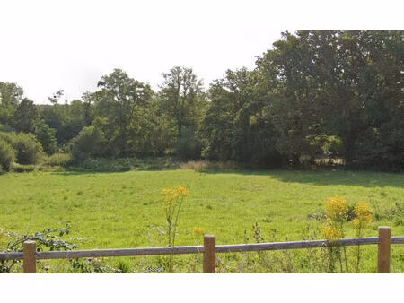 vente terrain 5343 m² urciers (36160)