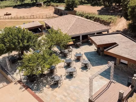 vente propriété 1 pièce 1200 m² à pietracorbara (20233)  1 750 000 €