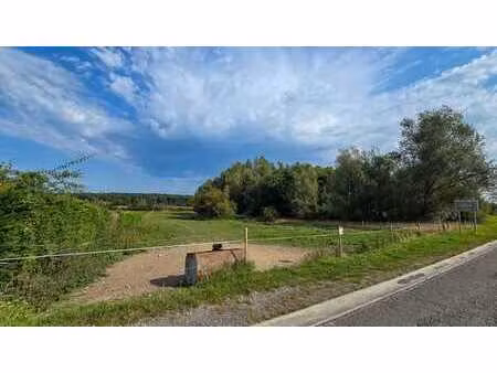 superbe terrain à bâtir de près de 1 7 hectare à lavaux-sain