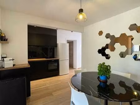 appartement 1 ch  refait à neuf en 2023 shape ok