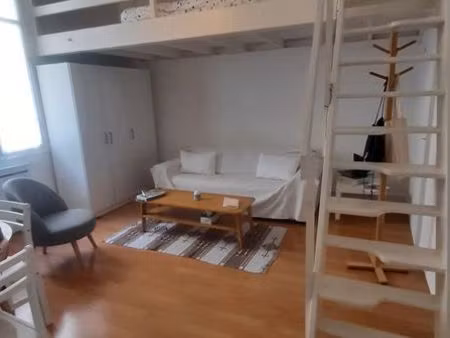 studio spacieux et lumineux au pied du tramway le ray