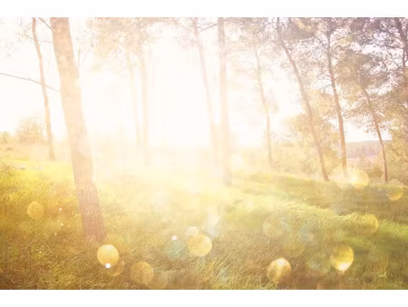 vente terrain 1420 m² à bassillac (24330)  30 000 €