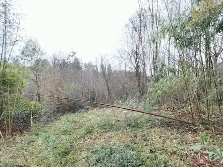 vente terrain 1400 m² à boulazac (24750)  30 000 €