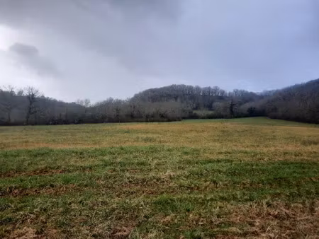 vente terrain 1377 m² à loubressac (46130)  34 425 €