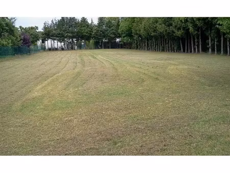 vente terrain 1800 m² à villemereuil (10800)  45 000 €