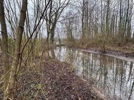 vente terrain 2499 m² à ribemont-sur-ancre (80800)  50 000 €