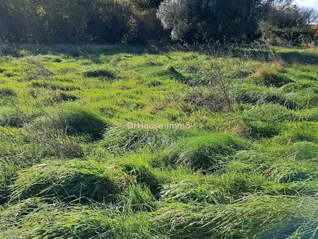 vente terrain 812 m² à civrac-en-médoc (33340)  49 500 €