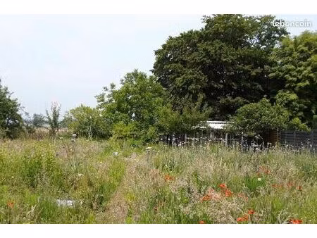 terrain 743 m² cuts