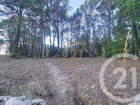 vente terrain 7000 m² à callas (83830)  175 000 €