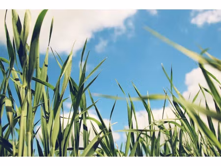 vente terrain 402 m² à hourtin (33990)  102 000 €