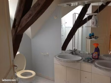 location appartement duplex 37150 bléré