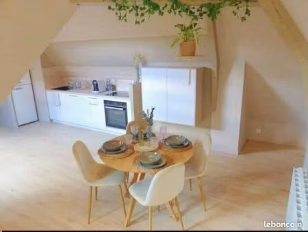 appartement meublé hypercentre