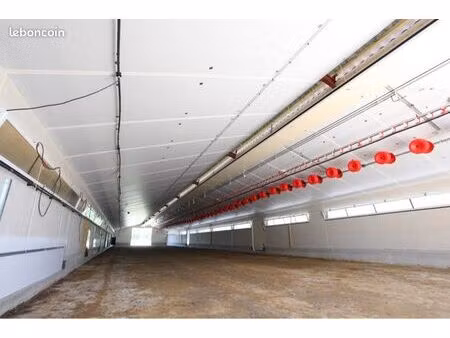 location bâtiment 500 m2