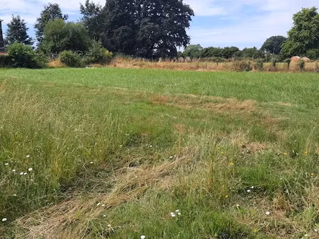 vente terrain à batir 3332 m² à chalonnes-sur-loire (49290)  95 000 €