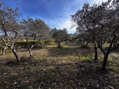 vente terrain 2000 m² à lorgues (83510)  155 000 €