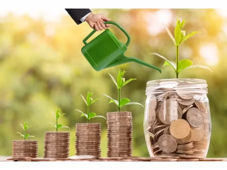 vente terrain 181822 m² à moulon (33420)  205 000 €