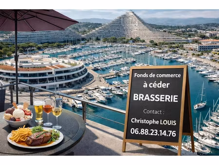 vente locaux professionnels 202 m² à villeneuve-loubet (06270)  335 000 €