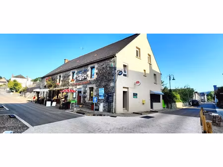 vente immeuble 450 m² à saint-aignan (56480)  374 000 €