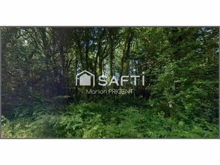 bois non constructible