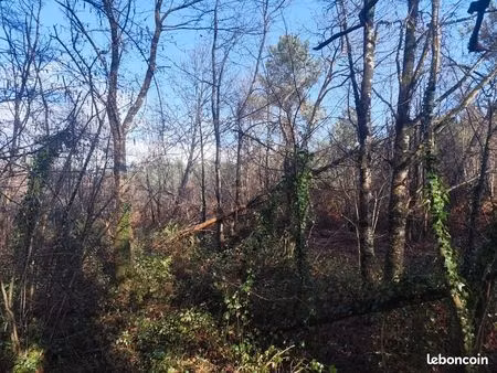 location de terrain boisé