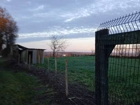 terrain pour moutons