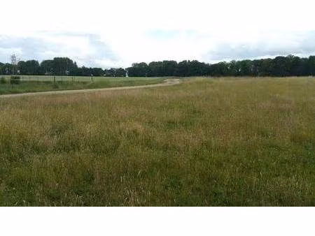 terrain constructible viabilisé à vendre