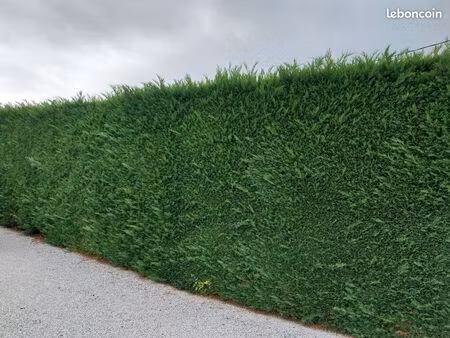 maison val revermont